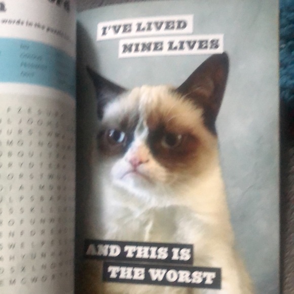 Grumpy cat book: a grumpy book mbr - Picture 4 of 8